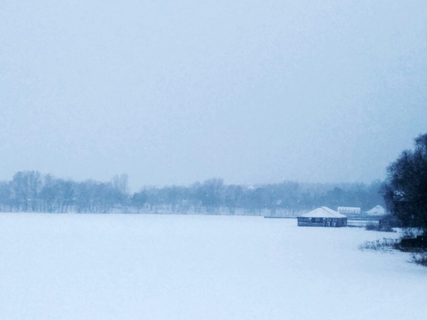 Алексей Быстров, Украина, Киев