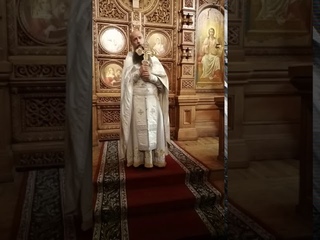 Иером. Мефодий (Зинковский). Жестокосердие - склероз сердца.