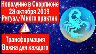 МОЩНОЕ НОВОЛУНИЕ В СКОРПИОНЕ 28 ОКТЯБРЯ 2019 ! #ТРАНСФОРМАЦИЯ ! РИТУАЛЫ И ТЕХНИКИ ! ПСИ-ФАКТОРЫ !