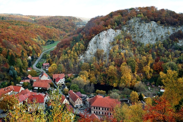 Bilder von schamhaaren