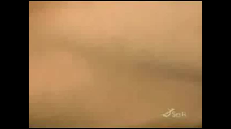 7 ми летняя бодибилдерша