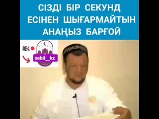 tamshy_01_+