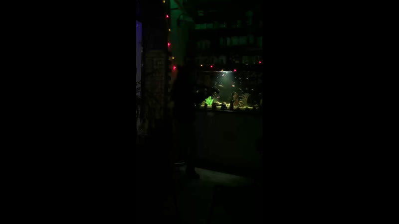 Live: Студия красоты Брюнетка
