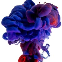 Сергей Прядко | 