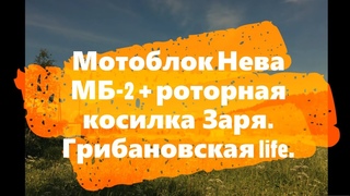 Мотоблок Нева МБ-2 с роторной косилкой Заря. Грибановская life.