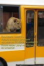 Фотография Левиной Анастасии