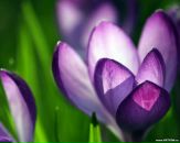 №25 Марина Шевелева 18.05.1990: профиль, фото, статус - ВКонтакте