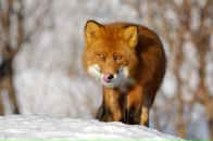 №19 Мария Печинина 14.12.1990: профиль, фото, статус - ВКонтакте