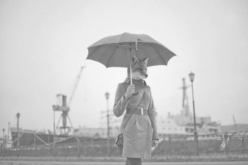 Anastasia Khusyainova | Москва