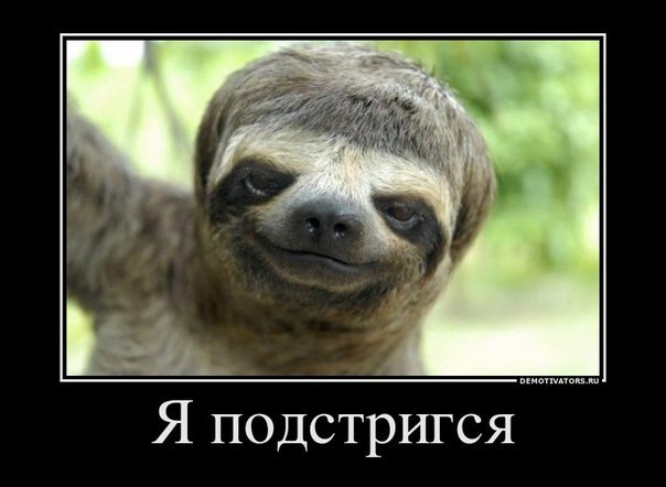 №70, Irina Spirina, Санкт-Петербург №70, Irina Spirina, Санкт-Петербург