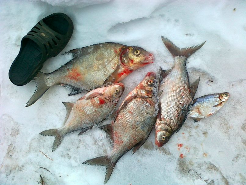 Михаил Силин | Пермь