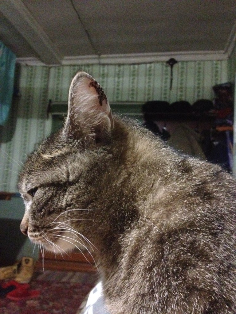 Вася Алексеев | Архангельск