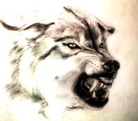 №75, Женя Калин №75, Женя Калин