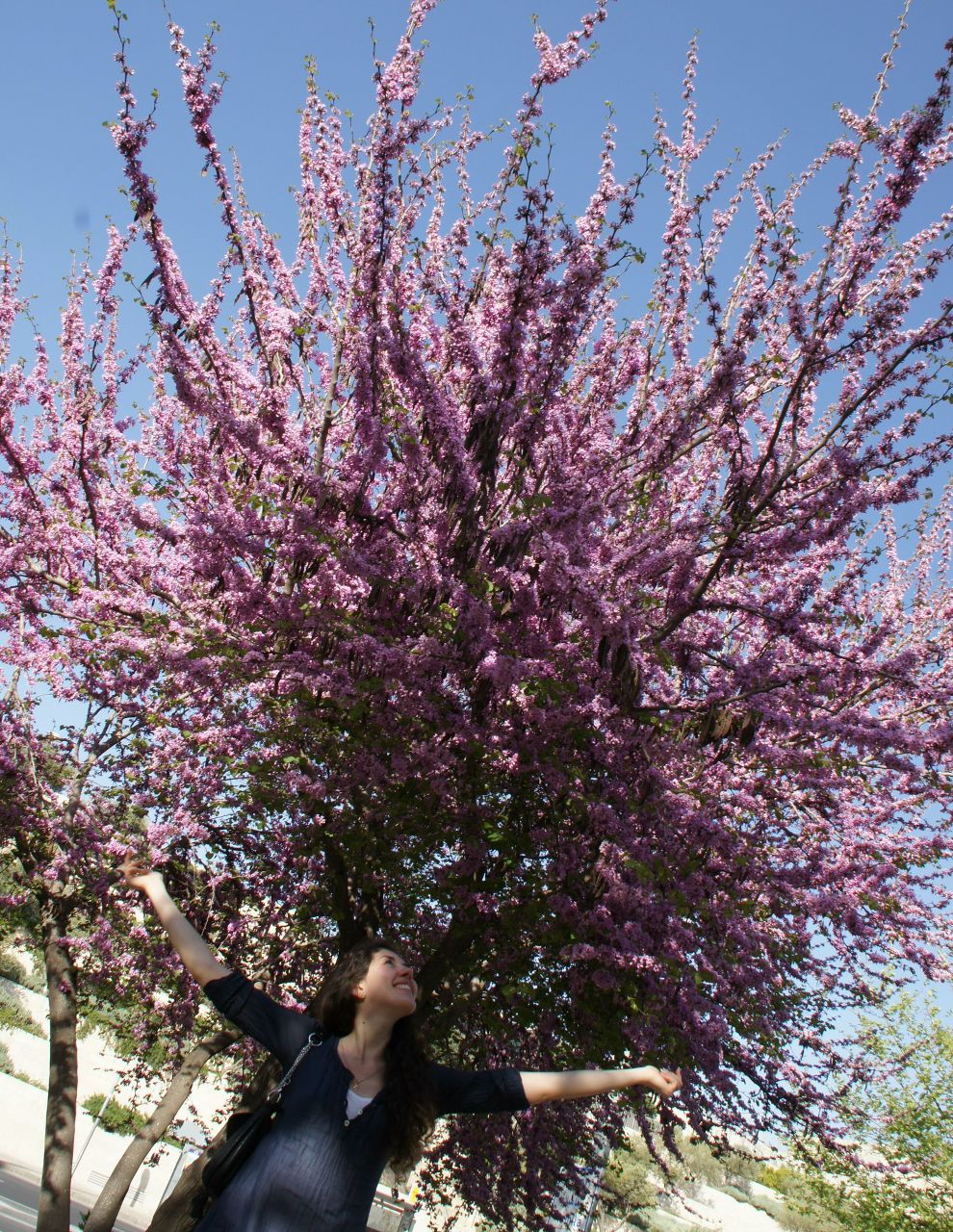 Алина Терешкевич-Штайнметц | Berlin