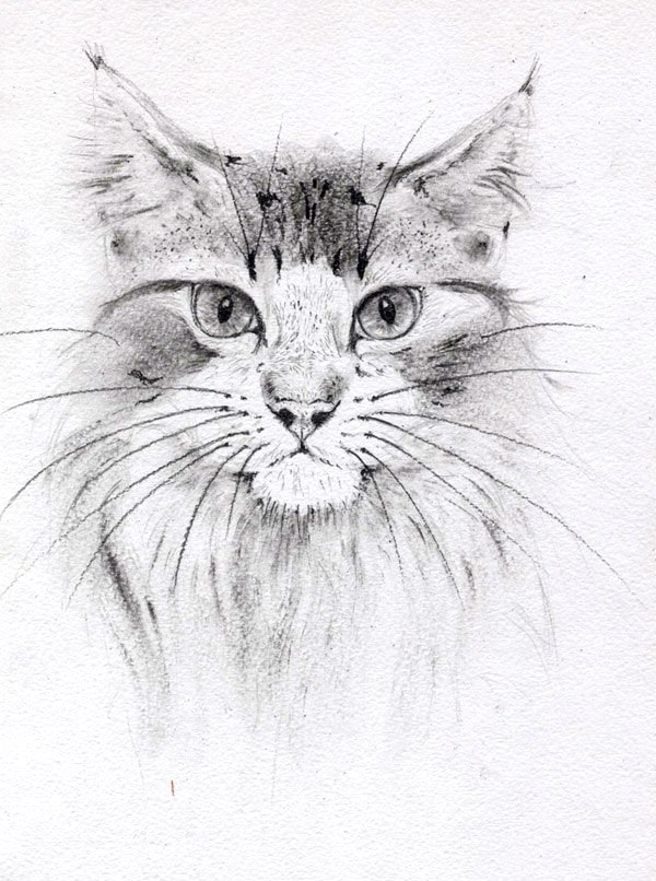 Анастасия Корсакова | Магнитогорск