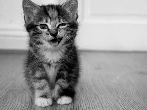 Александр Умурзянов | 