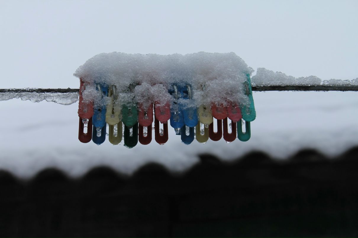 Алекса Волкова | Roma