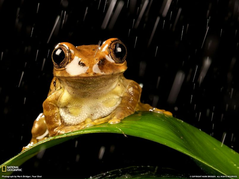 Артур Шишкин | Челябинск