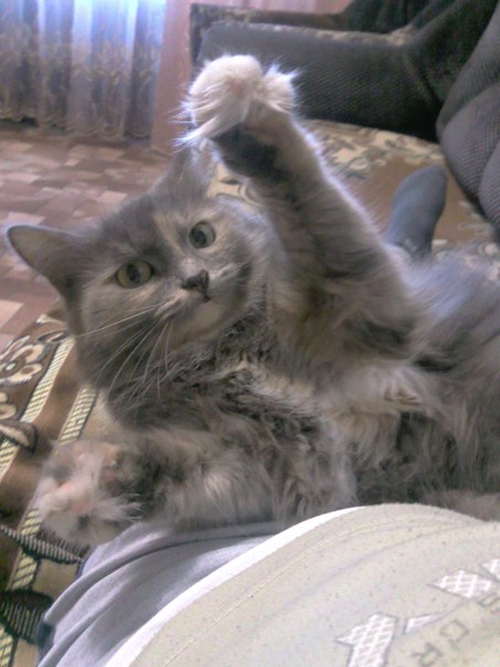 №23, Ольга Нестерова, 1.2.1979 №23, Ольга Нестерова, 1.2.1979