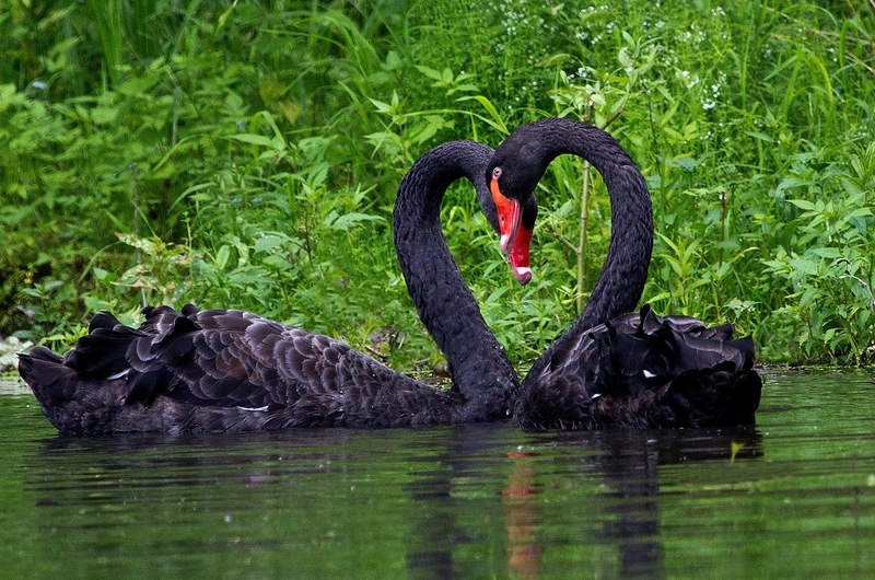 Сергей Толстиков | Новокузнецк