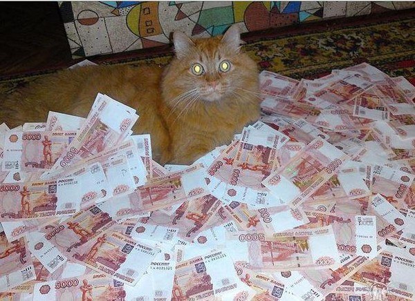 Ирина Грудка | Шклов