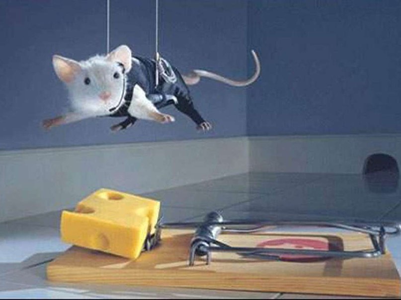 Игорь Конюхов | Краснодар