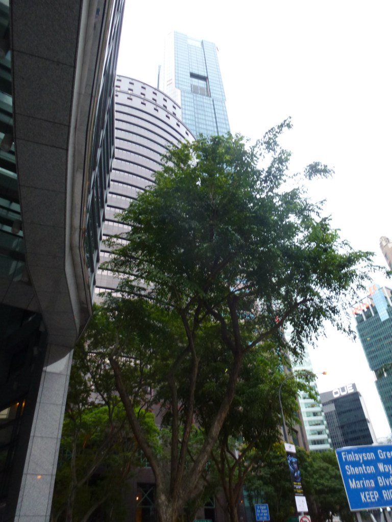 Александр Стуглев | Санкт-Петербург