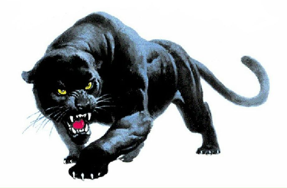 №8, Нинель Орлова №8, Нинель Орлова