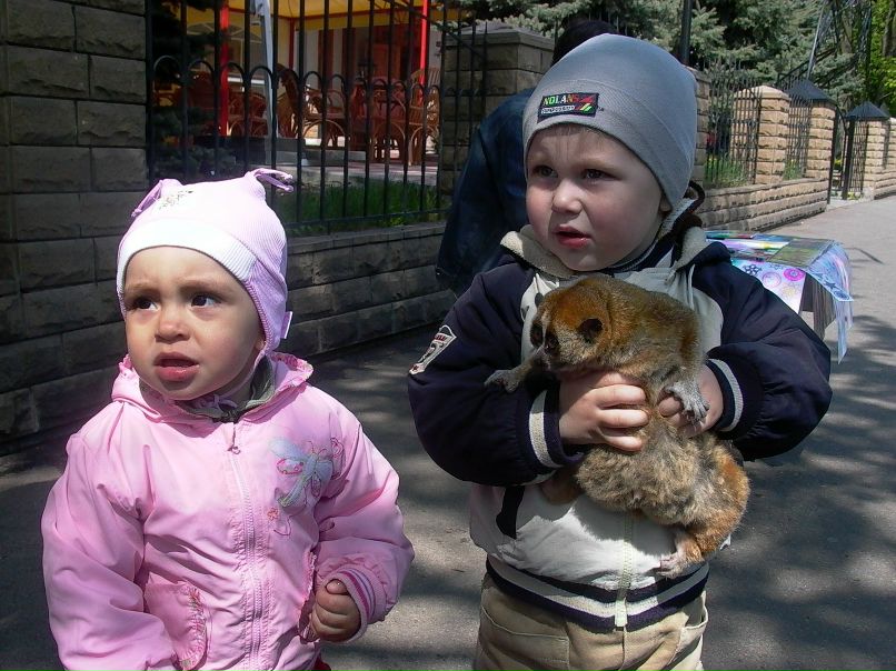 Елена Солопова | Dresden