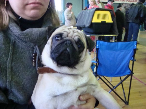 №16, Тёма Афанасьев №16, Тёма Афанасьев