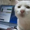 Аватар: Василий Костицкий