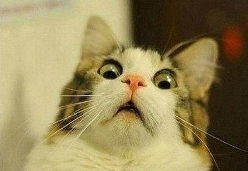 Андрей Громов | Москва