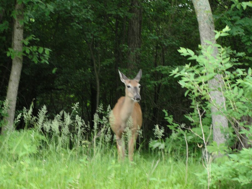 Мила Ботнарь | Харьков