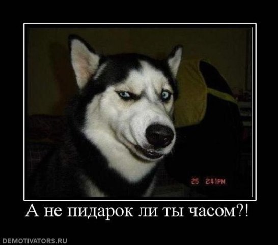 Екатерина Панкова | Донецк