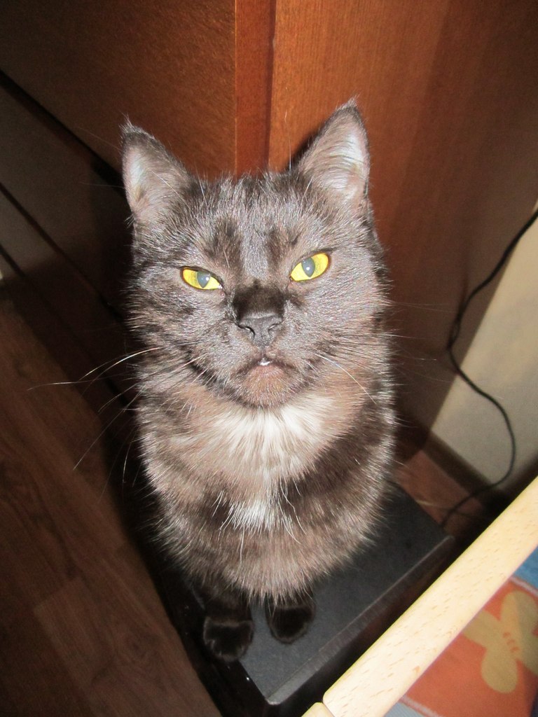 Виктория Ланская | Санкт-Петербург