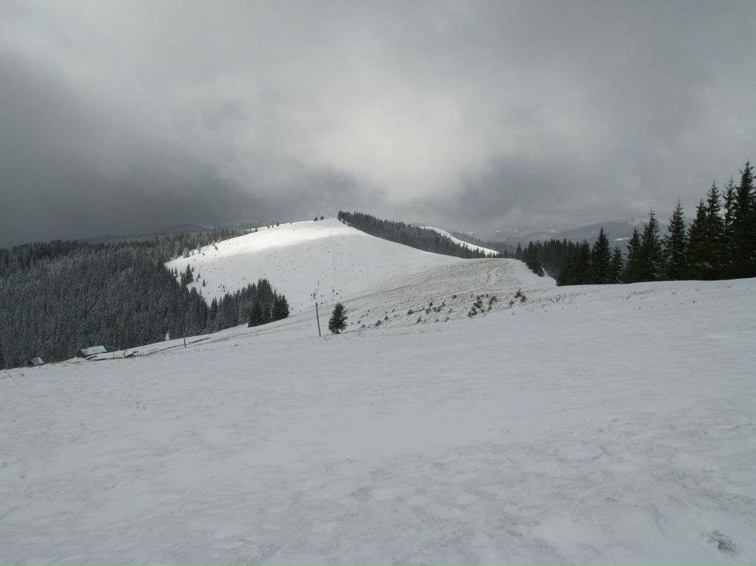 Марія Павловська-Лісогорська | Львов