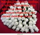 №33 Настёна Белинская : профиль, фото, статус - ВКонтакте