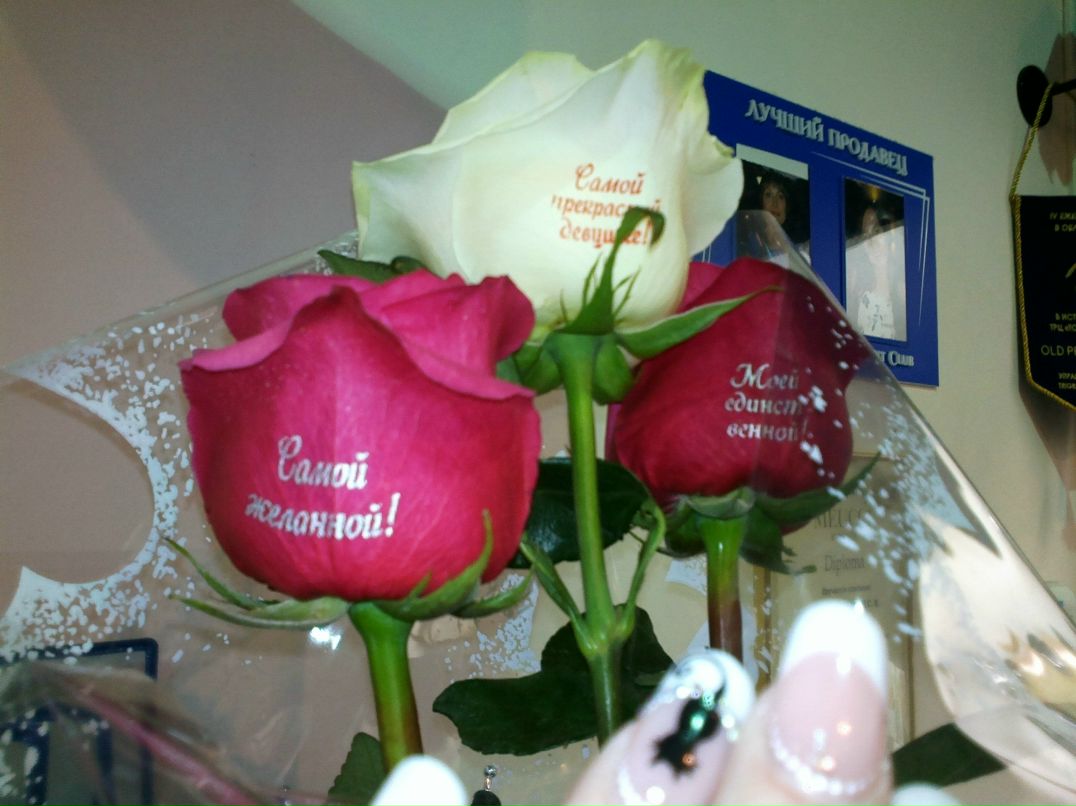 Елена Егорова ♥E-va♥ | Набережные Челны