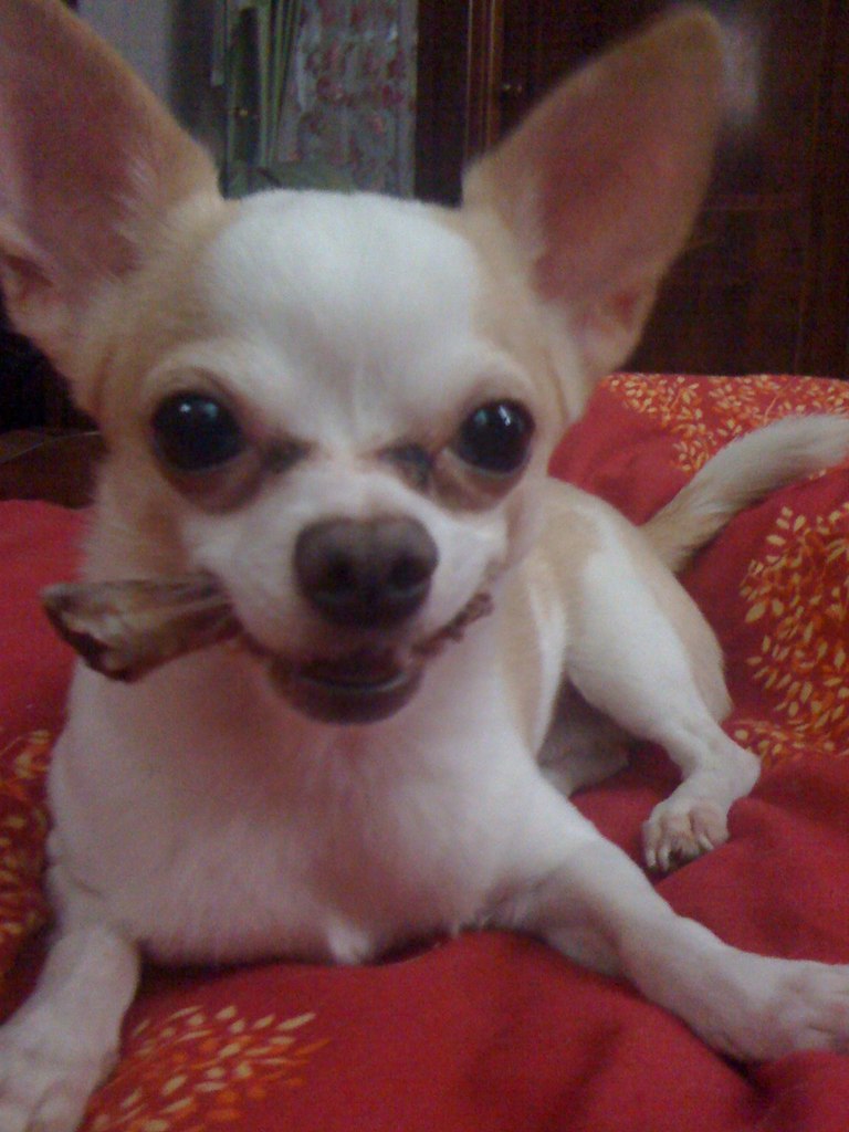 Евгений Чернов | Пермь