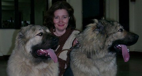 №110, Вероника Доничева, Новосибирск №110, Вероника Доничева, Новосибирск