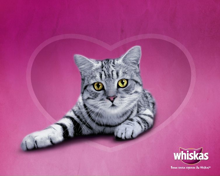 №19, Виктория Федорцова №19, Виктория Федорцова