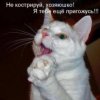 Аватар: Sumeon Kung