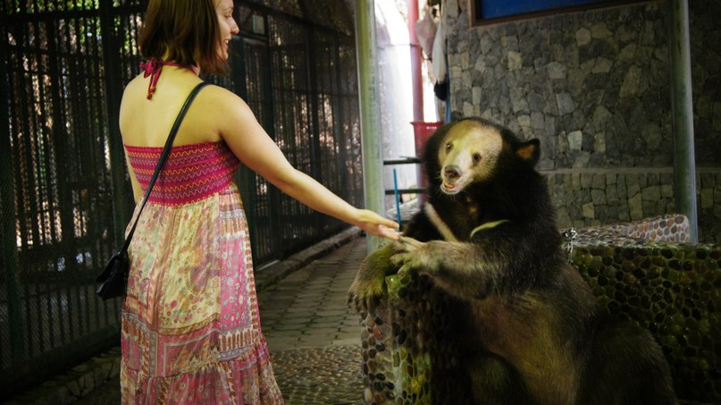 Татьяна Потапкина | 