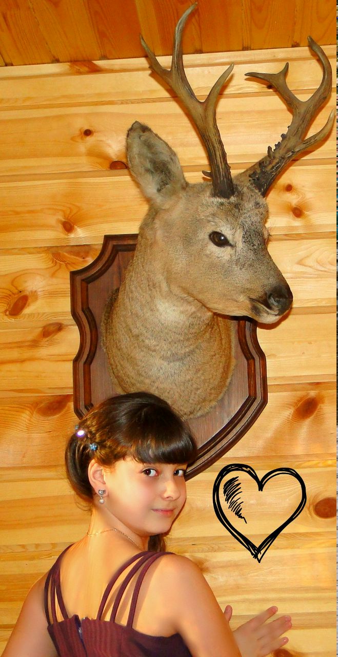 Полина Стешина | Санкт-Петербург