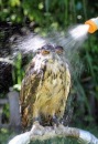 Фотография Ананьевой Анастасии