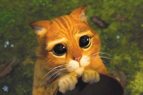 Мария Трушникова | Чебоксары