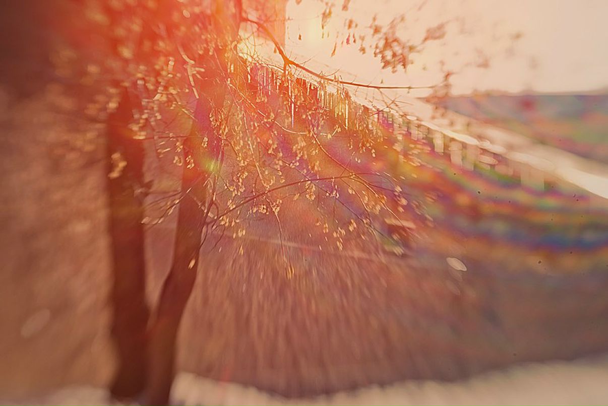 Karina Gabin | Санкт-Петербург