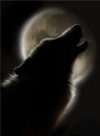 Артур Камалов | Сочи