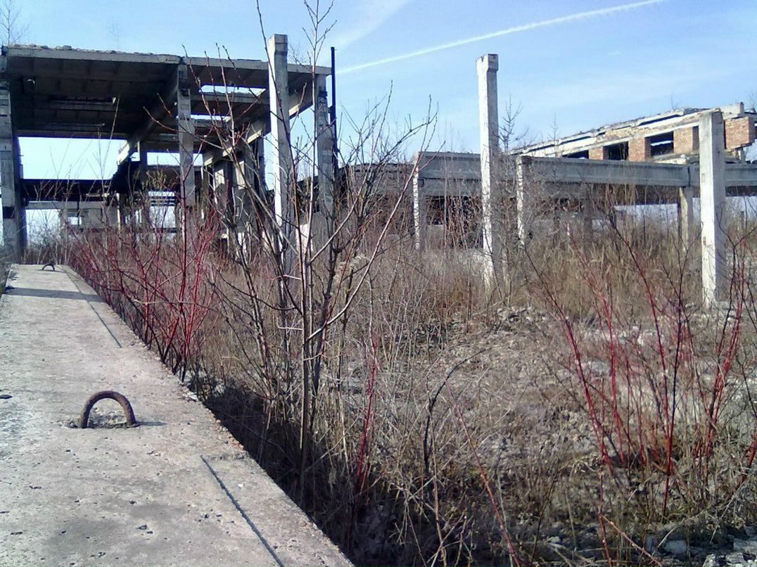 Игорь Боледзюк | Коломыя