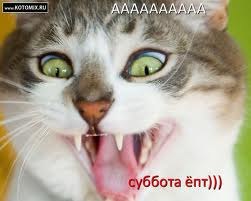 Максим Грачов 3_Ty3A | Липецк